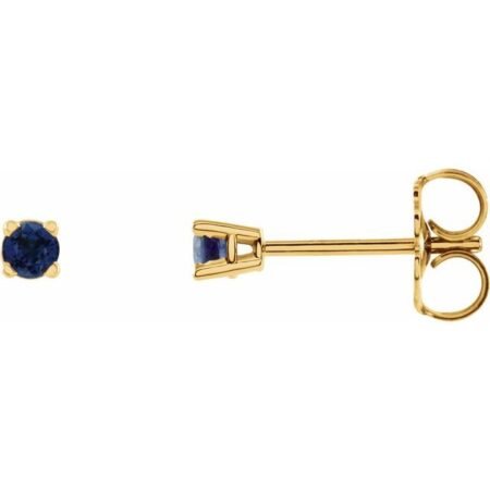 14k Yellow 2.5 Mm Natural Blue Sapphire Earrings