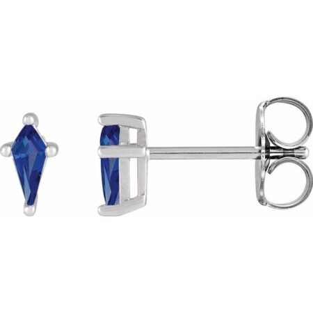 14k White Lab-grown Blue Sapphire Earrings