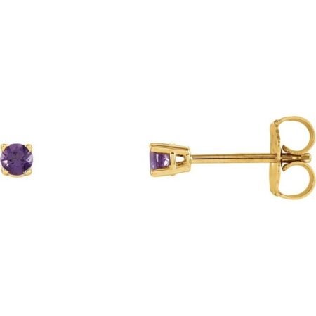 14k Yellow 2.5 Mm Natural Amethyst Earrings